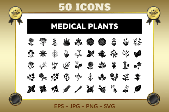 Medical Plants Glyph Icons: Graphics & Icons
